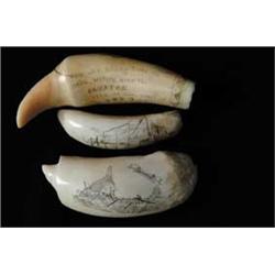 THREE SMALL ENGRAVED WHALE’S TEETH