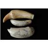 Image 1 : THREE SMALL ENGRAVED WHALE’S TEETH