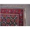 Image 1 : BAHKTIARIS RUG