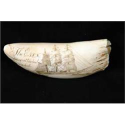 SCRIMSHAW DECORATED WHALE’S TOOTH
