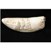 Image 1 : SCRIMSHAW DECORATED WHALE’S TOOTH