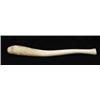 Image 1 : INTERESTING WHALE BONE SEAL CLUB