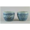 Image 1 : PAIR OF BLUE AND WHITE ORIENTAL JARDINIÈRES