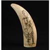 Image 1 : SCRIMSHAW DECORATED WHALE’S TOOTH