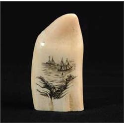 SCRIMSHAW DECORATED SMALL WHALE’S TOOTH