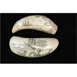 TWO ENGRAVED WHALE’S TEETH