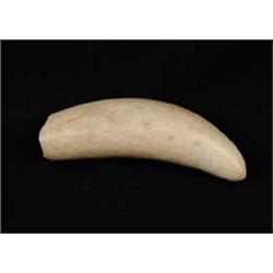 UN-ENGRAVED WHALE’S TOOTH