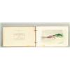 Image 1 : RUTH WIGGLESWORTH (Early 20th Century) WATERCOLOR SKETCH BOOK