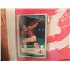 Image 2 : RARE VINTAGE CHICAGO CARDINALS 1950'S PENNANT CARD