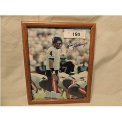 JIM HARBAUGH CHICAGO BEARS AUTOGRAPHED PHOTO