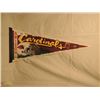 Image 1 : ARIZONA CARDINALS FOOTBALL PENNANT