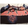 Image 5 : JACKPOT BOX FULL CHICAGO BEARS MEMORABILIA MORE!!