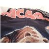 Image 7 : JACKPOT BOX FULL CHICAGO BEARS MEMORABILIA MORE!!