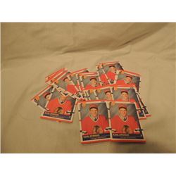 HOCKEY CARD LOT NHL LOOK THEM OVER!!