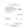 Image 3 : 1.53 ctw Diamond Stud Earrings - 14KT White Gold