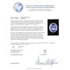 Image 5 : 14.43 ctw Tanzanite and Diamond Ring - 14KT White Gold