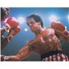 Image 1 : Sylvester Stallone
