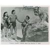 Image 1 : Johnny Weissmuller