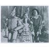Image 1 : Wizard of Oz: Ray Bolger