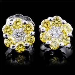 18K White Gold 0.50ctw Fancy Color Diamond Earring