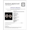 Image 3 : 18K White Gold 5.54ctw Fancy Color Diamond Earring