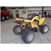 Image 4 : 2007 - CAN-AM QUAD