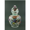 Chinese Famille Rose Porcelain Vase Kangxi Mk