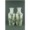 Pair Chinese Famille Rose Porcelain Vases Guangxu