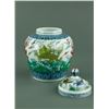 Image 3 : Chinese Wucai Porcelain Jar with Lid Tian Mark