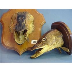 2 Wall Mounted Pike Heads...