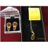 Image 1 : Sterling Amber Earring & Necklace Set