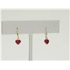 Image 1 : #34-14K YELLOW GOLD RUBY HOOP EARRINGS