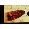 Image 1 : 25MM X 12MM AMMOLITE GEMSTONE