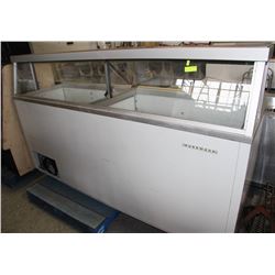 HUSSMAN 16 SLOT TUB ICE CREAM FREEZER 110V