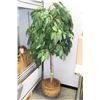 Image 1 : 6' ARTIFICIAL PLANT