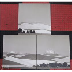 SET OF 3 CANVAS PICTURES