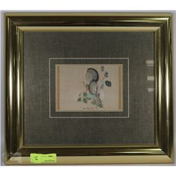 ESTATE SEA SHELL PICTURE