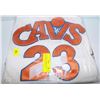 Image 1 : AUTOGRAPHED LEBRON JAMES JERSEY WITH GLOBAL COA