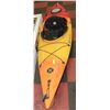 Image 1 : PERCEPTION KYACK WITH PADDLES