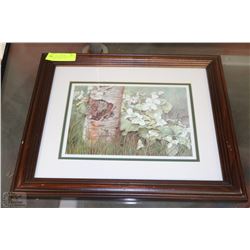 FRAMED ARTIST SIGNED AND #'D PICTURE OF BIRCH TREE