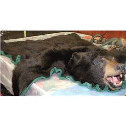 LARGE 64" X 68" BLACK BEARSKIN RUG