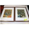 Image 1 : PAIR OF FRAMED ART PICTURES