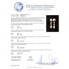 Image 3 : 4.72 ctw Diamond Earrings - 18KT Tri Color Gold