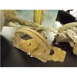 VINTAGE ANIMAL LEG TRAP CHAINED TO LOG