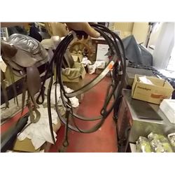 BUNDLE OF REINS