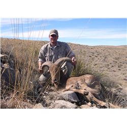New Mexico Aoudad (Guided)