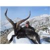 Image 1 : Spanish Ibex Hunt (Madrid)