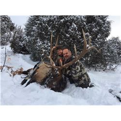 New Mexico Elk (up to 330 SCI)