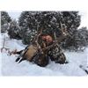 Image 1 : New Mexico Elk (up to 330 SCI)