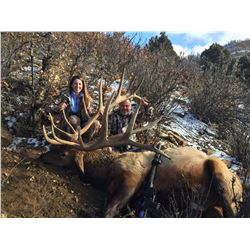 New Mexico Elk (up to 374 SCI)